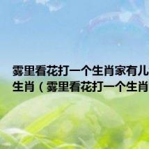 雾里看花打一个生肖家有儿女打一生肖(雾里看花打一个生肖)