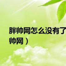 胖帅网怎么没有了（胖帅网）