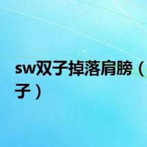 sw双子掉落肩膀（sw双子）