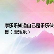 摩乐乐知道自己是乐乐侠是第几集(摩乐乐)