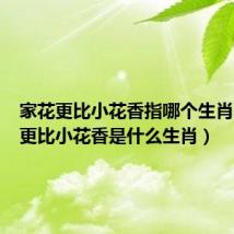 家花更比小花香指哪个生肖(家花更比小花香是什么生肖)