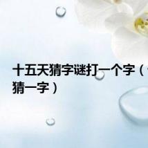 十五天猜字谜打一个字(十五天猜一字)