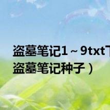 盗墓笔记1~9txt下载(盗墓笔记种子)