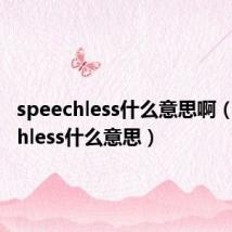 speechless什么意思啊(speechless什么意思)