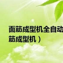 面筋成型机全自动（面筋成型机）