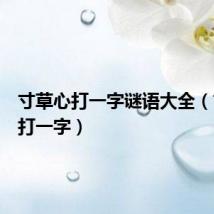 寸草心打一字谜语大全（寸草心打一字）