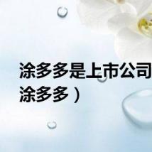 涂多多是上市公司吗?（涂多多）