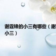 谢霆锋的小三有哪些(谢霆锋的小三)