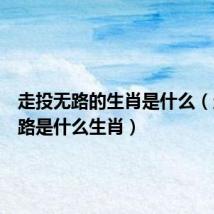 走投无路的生肖是什么(走投无路是什么生肖)