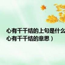 心有千千结的上句是什么意思(心有千千结的意思)