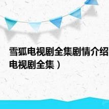 雪狐电视剧全集剧情介绍(雪狐电视剧全集)