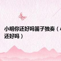 小明你还好吗笛子独奏(小明 你还好吗)