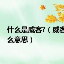 什么是威客?（威客是什么意思）
