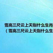 雪高三尺云上天指什么生肖作业帮(雪高三尺云上天指什么生肖)