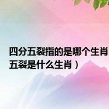 四分五裂指的是哪个生肖(四分五裂是什么生肖)