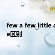 few a few little a little区别