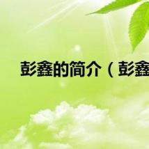 彭鑫的简介（彭鑫）