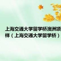 上海交通大学留学桥澳洲项目怎么样(上海交通大学留学桥)