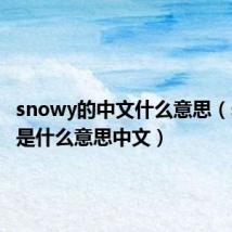 snowy的中文什么意思(snowy是什么意思中文)