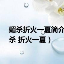 媚杀折火一夏简介(媚杀 折火一夏)