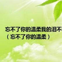 忘不了你的温柔我的泪不停在流（忘不了你的温柔）