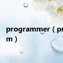 programmer（program）