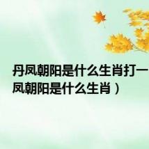 丹凤朝阳是什么生肖打一肖(丹凤朝阳是什么生肖)