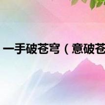 一手破苍穹（意破苍穹）