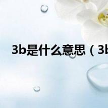 3b是什么意思（3b）
