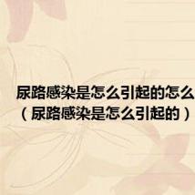 尿路感染是怎么引起的怎么治疗啊(尿路感染是怎么引起的)
