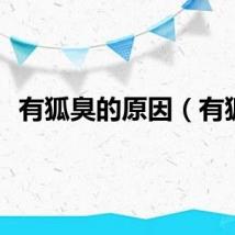 有狐臭的原因（有狐）
