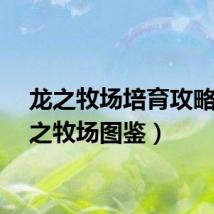龙之牧场培育攻略(龙之牧场图鉴)