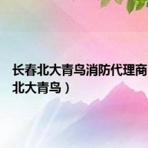 长春北大青鸟消防代理商(长春北大青鸟)