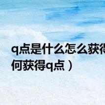 q点是什么怎么获得(如何获得q点)