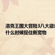洛克王国大冒险3八大徽章洛克什么时候捉住新宠物