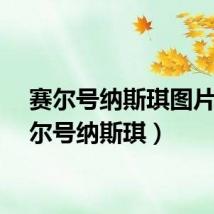 赛尔号纳斯琪图片（赛尔号纳斯琪）