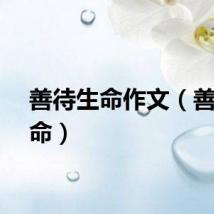 善待生命作文（善待生命）