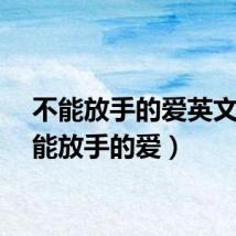 不能放手的爱英文（不能放手的爱）