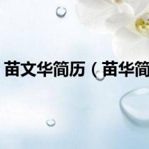苗文华简历（苗华简历）