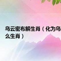 乌云密布解生肖(化为乌有是什么生肖)