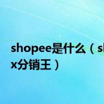 shopee是什么（shopex分销王）