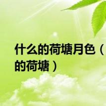 什么的荷塘月色（什么的荷塘）