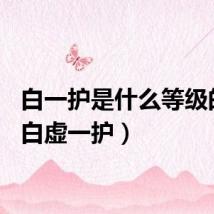 白一护是什么等级的虚（白虚一护）