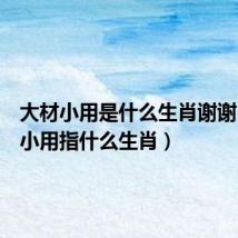 大材小用是什么生肖谢谢(大材小用指什么生肖)