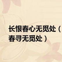 长恨春心无觅处（长恨春寻无觅处）