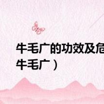 牛毛广的功效及危害(牛毛广)