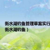 衡水湖钓鱼管理草案实行了吗(衡水湖钓鱼)