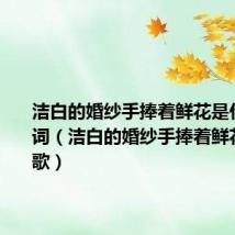 洁白的婚纱手捧着鲜花是什么歌歌词(洁白的婚纱手捧着鲜花是什么歌)