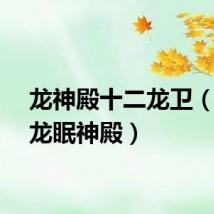龙神殿十二龙卫（保卫龙眠神殿）