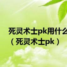 死灵术士pk用什么武器(死灵术士pk)